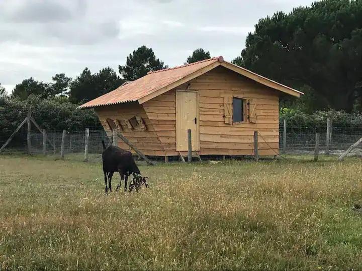Gite - La Ferme A La Plage Le Porge Exterior foto